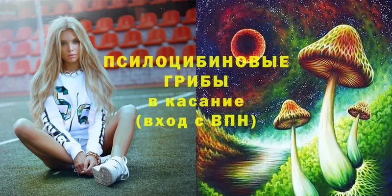 Галлюциногенные грибы Psilocybe  Лихославль 